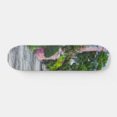 Walk Along Rainbow Row Skateboard (Horizontal)