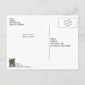 Walk Along Rainbow Row Vielen Dank Postkarte (Rückseite)