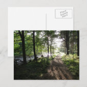 "Walk Near River" Northumberland Post Card Postkarte (Vorne/Hinten)