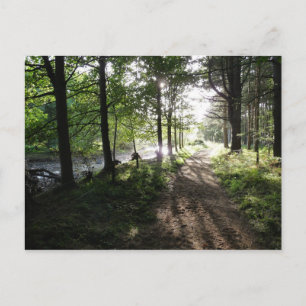 "Walk Near River" Northumberland Post Card Postkarte