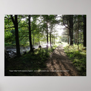 Walk Near the River-Happy Valley, Northumberland Poster