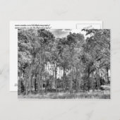 Walk Postkarte (Vorne/Hinten)