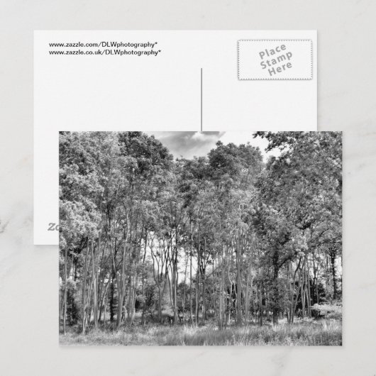 Walk Postkarte (Vorne/Hinten)