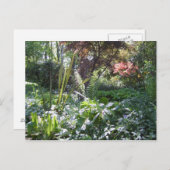 Walk Postkarte (Vorne/Hinten)