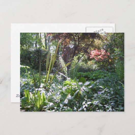 Walk Postkarte (Vorne/Hinten)