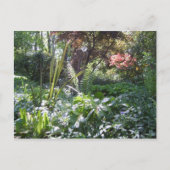 Walk Postkarte (Vorderseite)