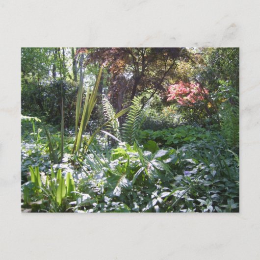 Walk Postkarte (Vorderseite)