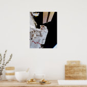 Walk (STS-102) Poster (Küche)