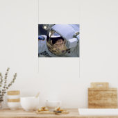 Walk (STS-103) Poster (Küche)