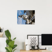 Walk (STS-119) Poster (Heimbüro)