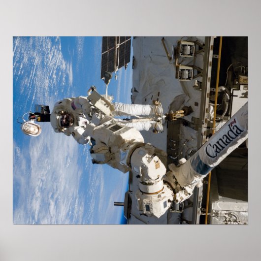 Walk (STS-119) Poster (Vorne)