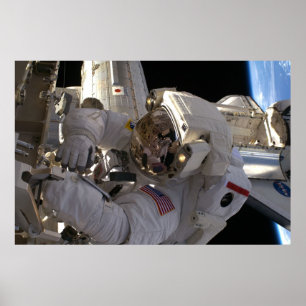 Walk (STS-119) Poster