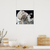 Walk (STS-124) Poster (Küche)