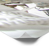 Walk (STS-134) Poster (Ecke)