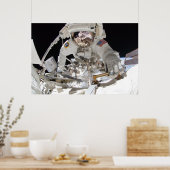 Walk (STS-134) Poster (Küche)