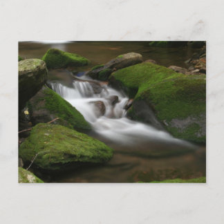 Walker Creek Postcard Postkarte