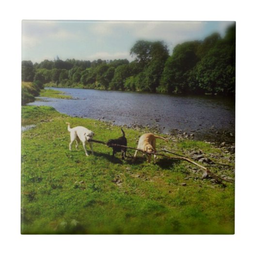 Walkies Fliese (Vorderseite)