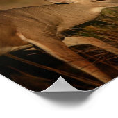 Walking Buck Poster (Ecke)