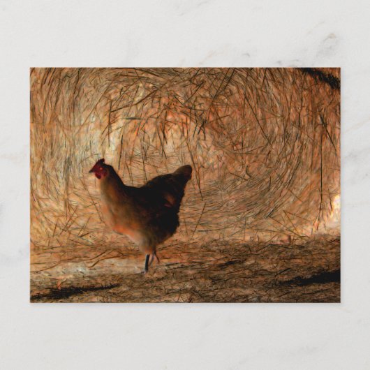 "Walking" - Digital erweitertes Foto Chicken & Hay Postkarte (Vorderseite)