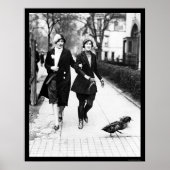 Walking Ducks in Washington, DC 1926 Poster (Vorne)