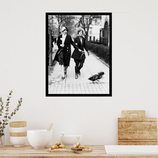 Walking Ducks in Washington, DC 1926 Poster (Küche)
