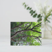 Walking endlessly through the deep forest. postkarte (Stehend Vorderseite)