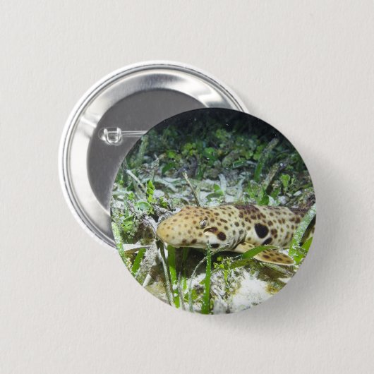 Walking epaulet shark auf den Raja Ampat Inseln Button (Vorne & Hinten)