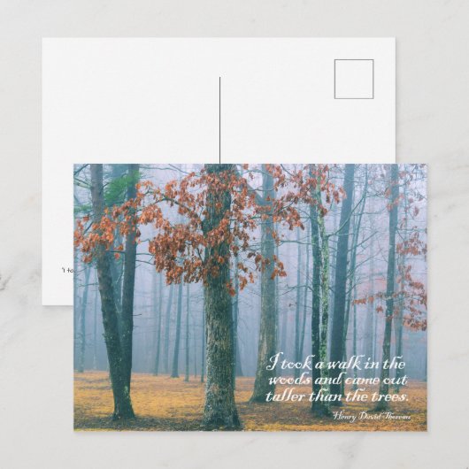 Walking im Wald - Postkarte (Vorne/Hinten)