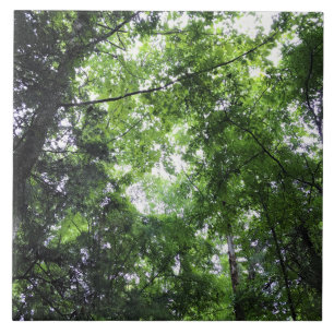 Walking in den Wäldern, Chester, South Carolina Fliese