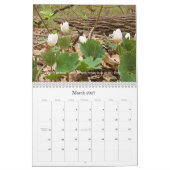 Walking Inspirations 2020 Kalender (Mär 2027)