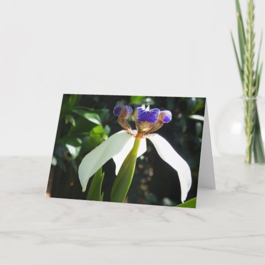 "Walking Iris 2." Grußkarte Karte (Vorderseite)