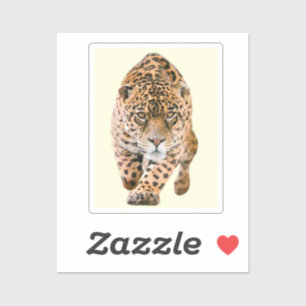 Walking Jaguar Eyes Aufkleber