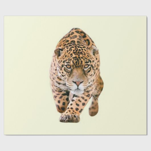 Walking Jaguar Eyes Geschenkpapier (Flach)