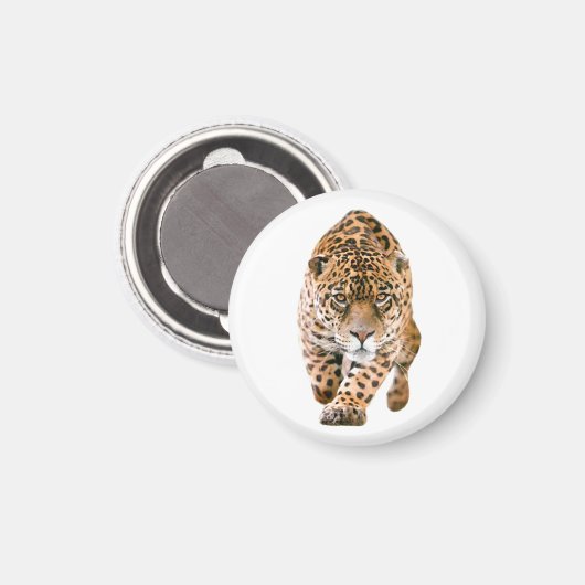Walking Jaguar Eyes Magnet (Vorderseite/Rückseite)