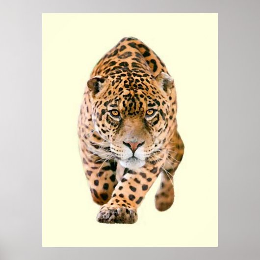 Walking Jaguar Eyes Poster (Vorne)