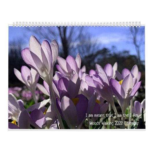 Walking-Kalender 2022 Kalender (Titelbild)