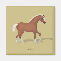 Walking Sorrel Foal Gaits of the Horse