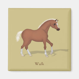 Walking Sorrel Foal Gaits of the Horse Magnet