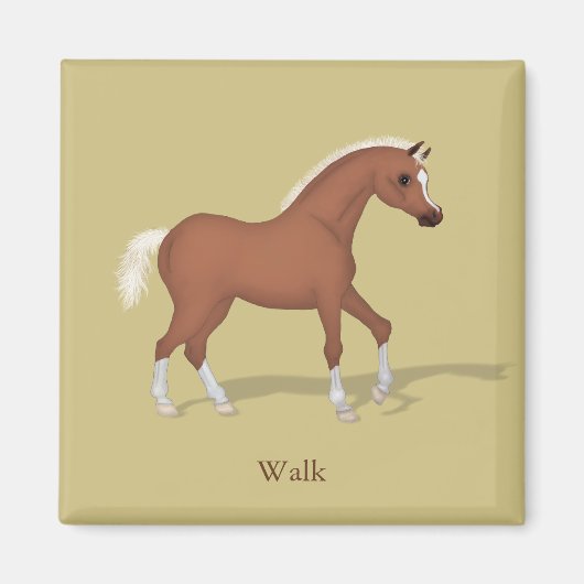 Walking Sorrel Foal Gaits of the Horse Magnet (Vorne)