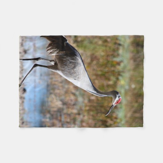 Walking Tall, Sandhill Crane Fleecedecke (Vorderseite (Horizontal))