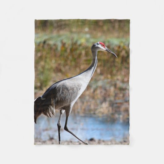 Walking Tall, Sandhill Crane Fleecedecke (Vorderseite)