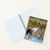 Walking Tall - Sandhill Crane Notizblock (Innenseite)