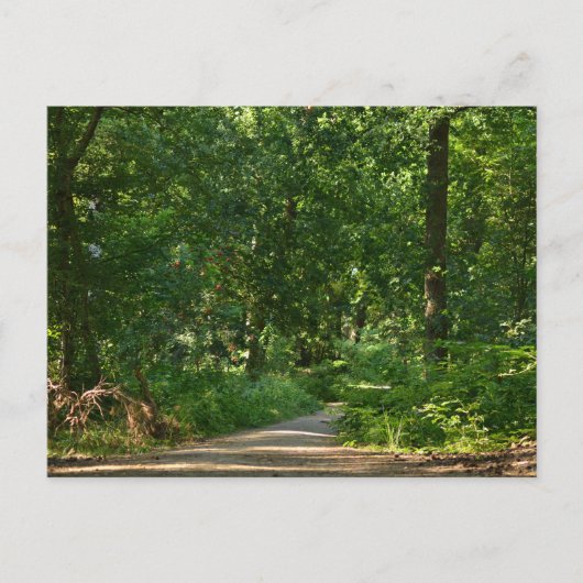 Walking through the trees postkarte (Vorderseite)
