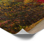 Walkway Bridge bis Alley Mill Poster (Ecke)