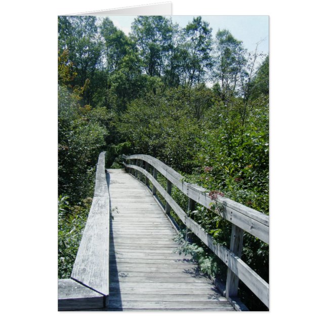 "Walkway, Green Mountain National Forest" (Vorne)