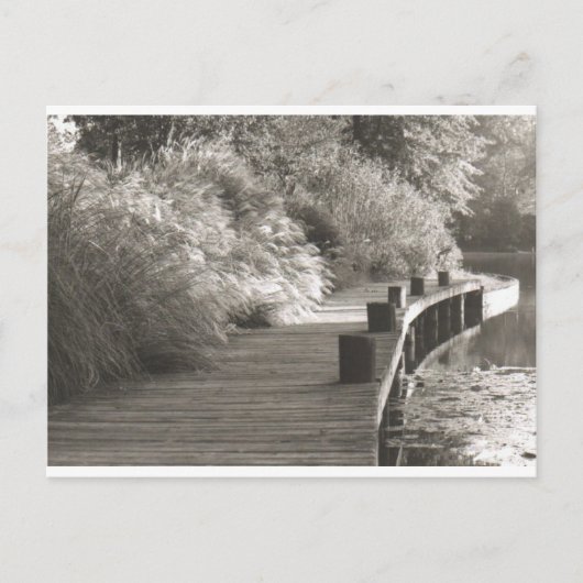 walkway.jpg postkarte (Vorderseite)