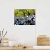 Walkway, Plymouth, New Hampshire Poster (Küche)