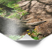 Wall Arat Fotodruck (Ecke)