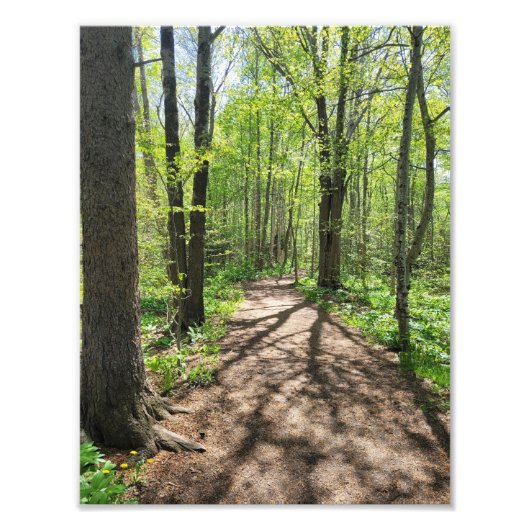 Wall Arat Fotodruck (Vorne)