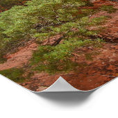 Wall Arch, Arches National Park, Utah Poster (Ecke)